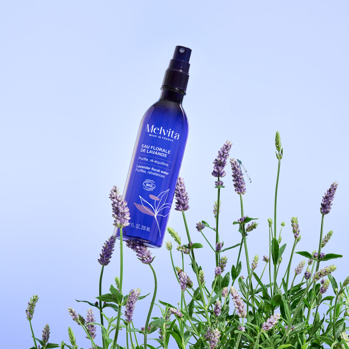 Eau Florale De Lavande Bio