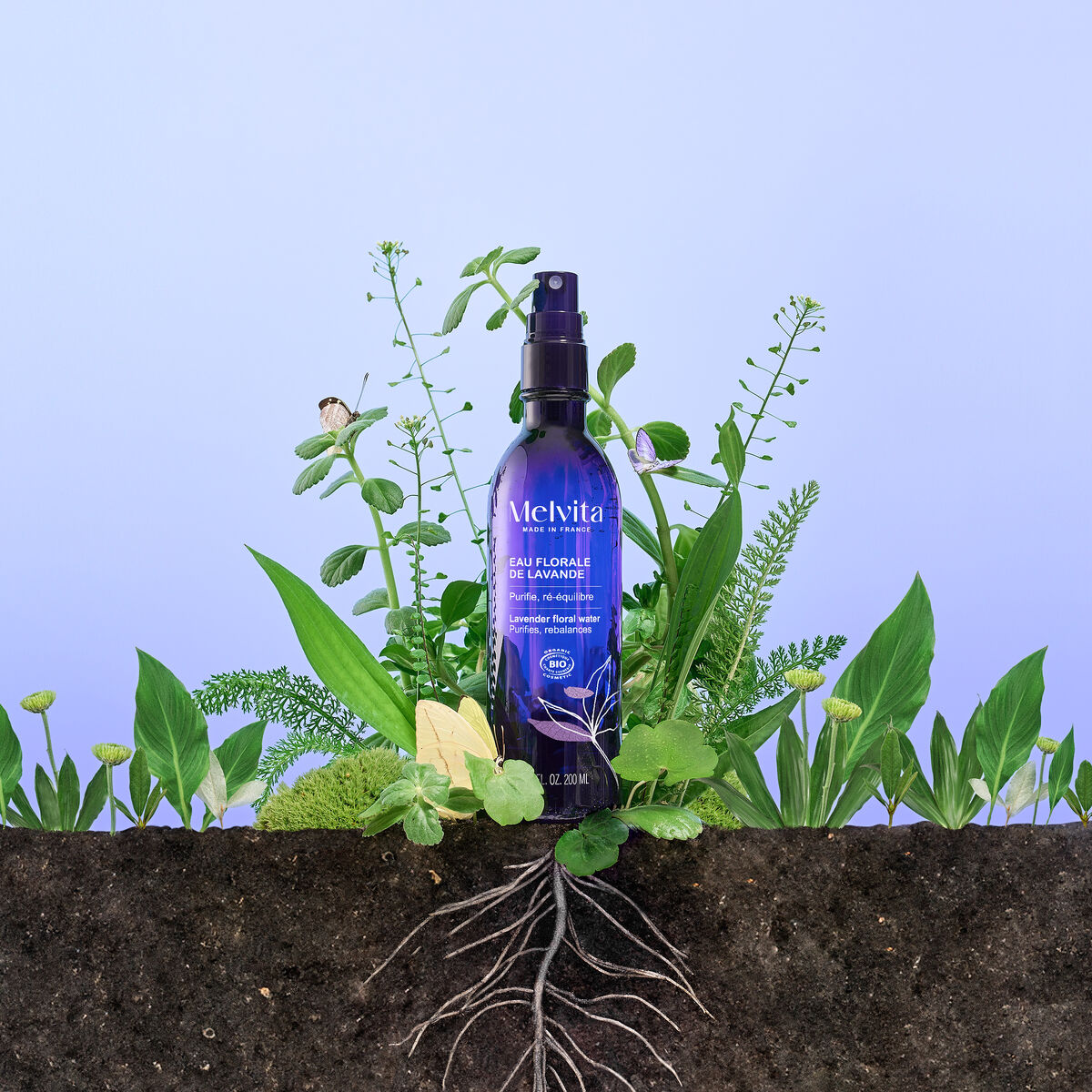 Eau Florale De Lavande Bio