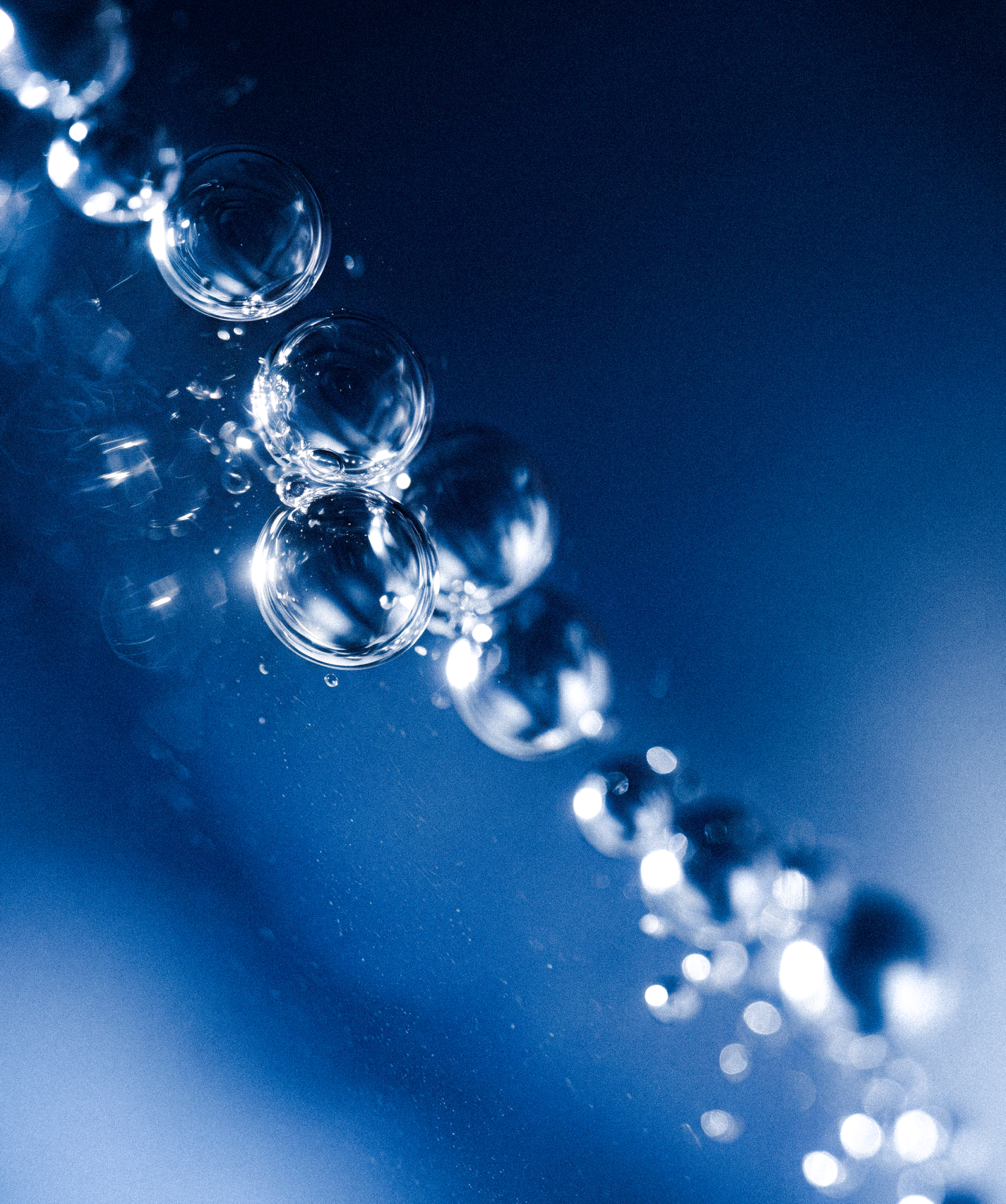 Eau Florale De Fleurs D'Oranger Bio