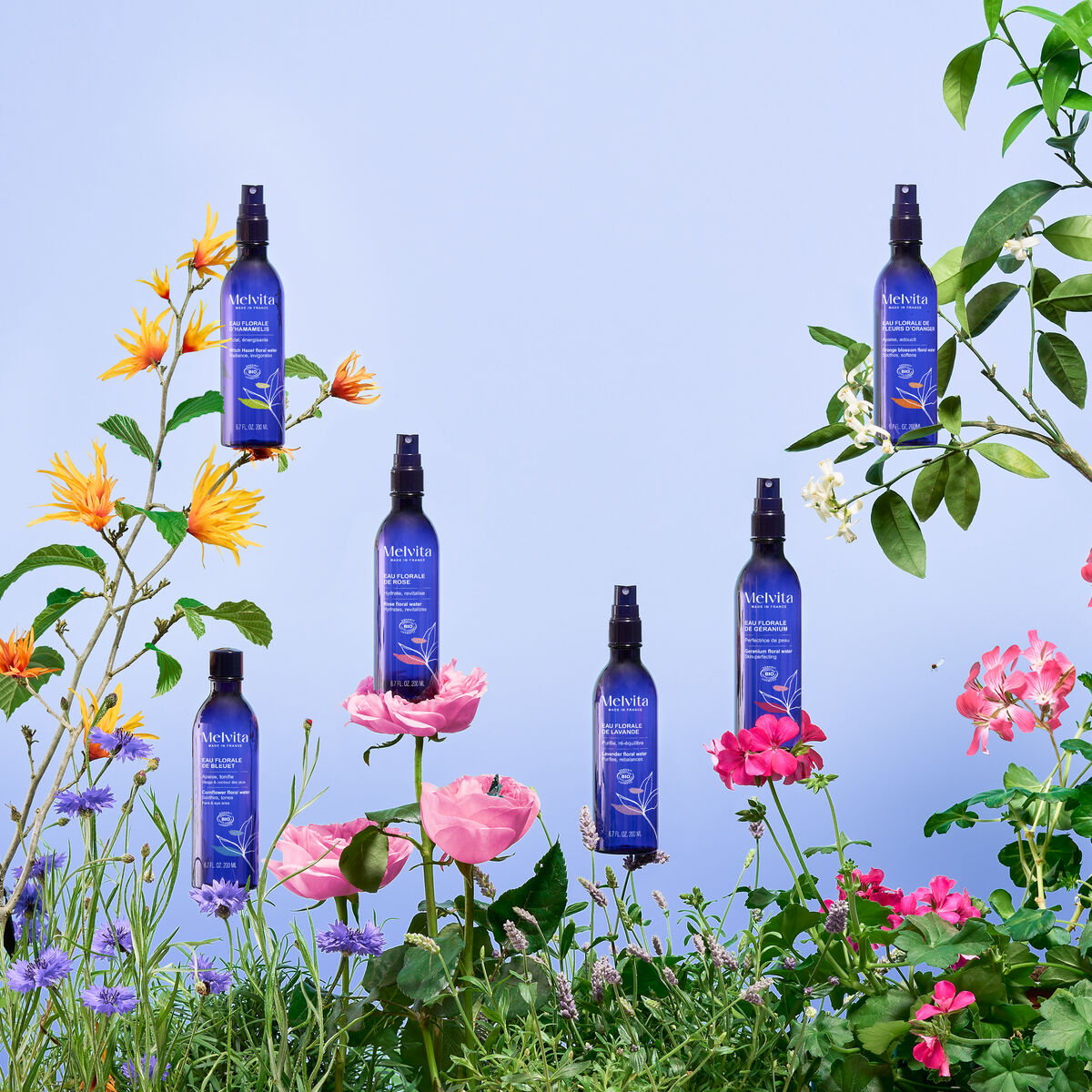 Eau Florale De Lavande Bio