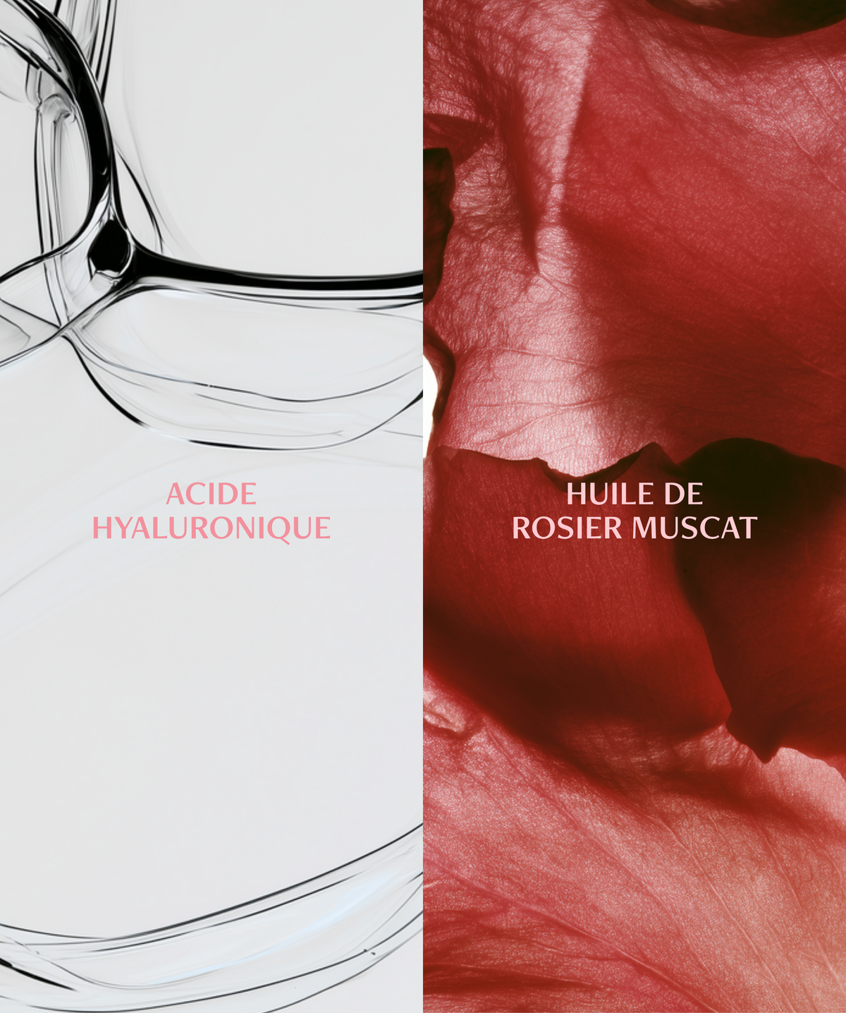 Eau Extraordinaire - Essence hydra-repulpante