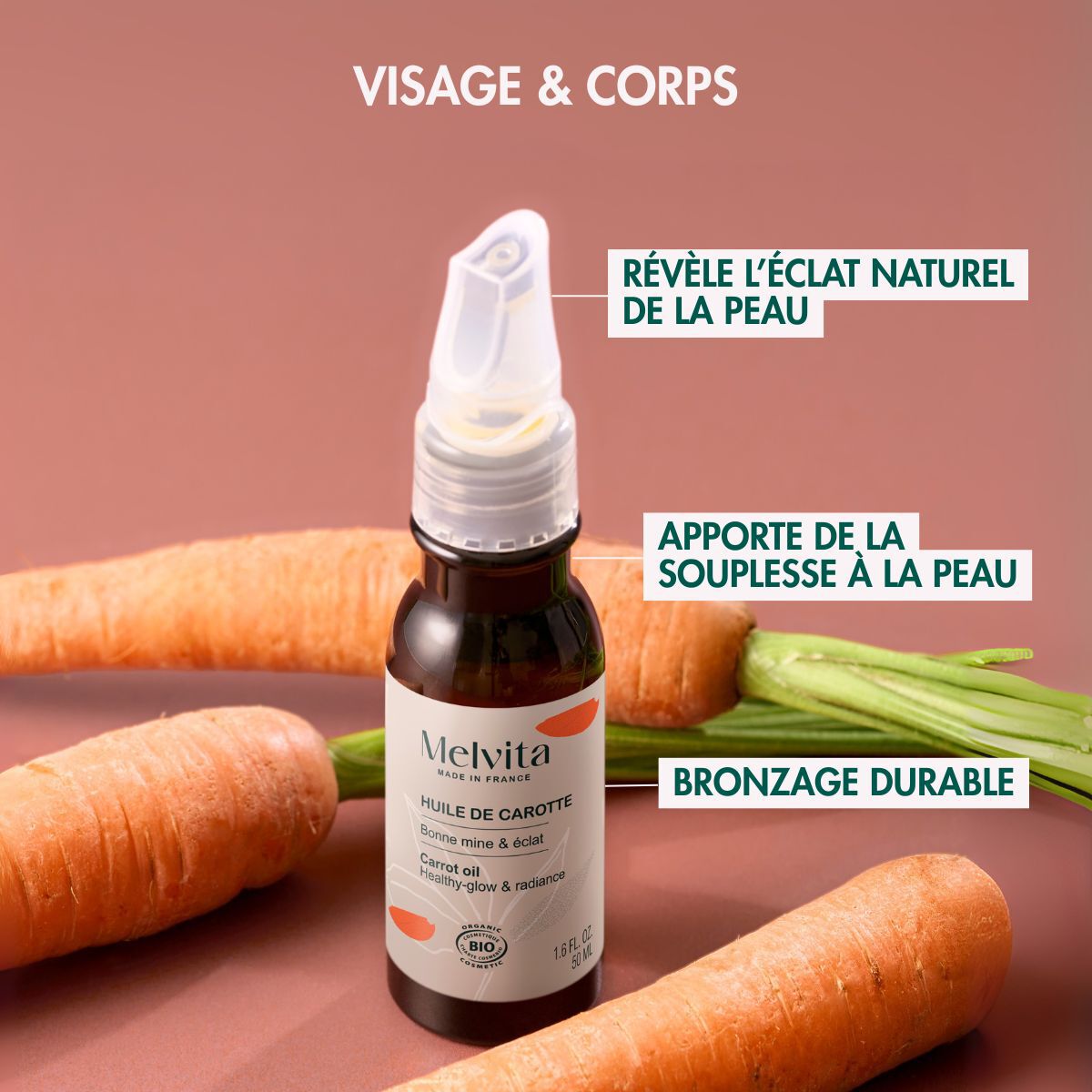 Huile de Carotte Bio