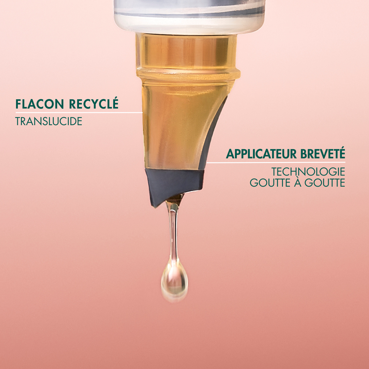 Huile de Jojoba Bio
