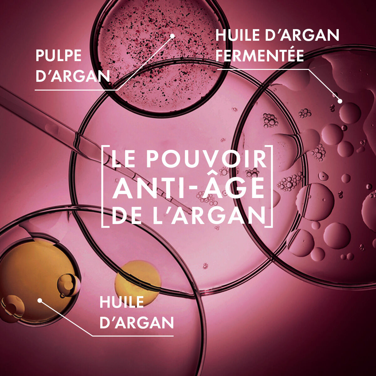 Routine Anti-Age Complète Argan Bio Active