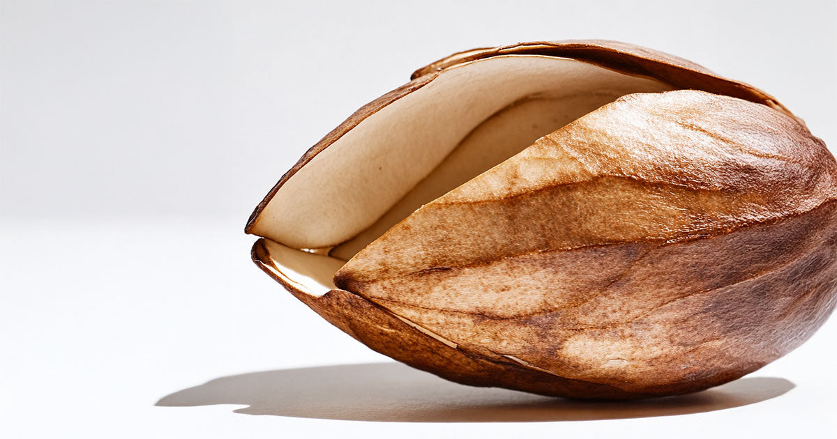 Les bienfaits de l'huile d'argan : l'ingrédient miraculeux pour la peau, le corps et les cheveux