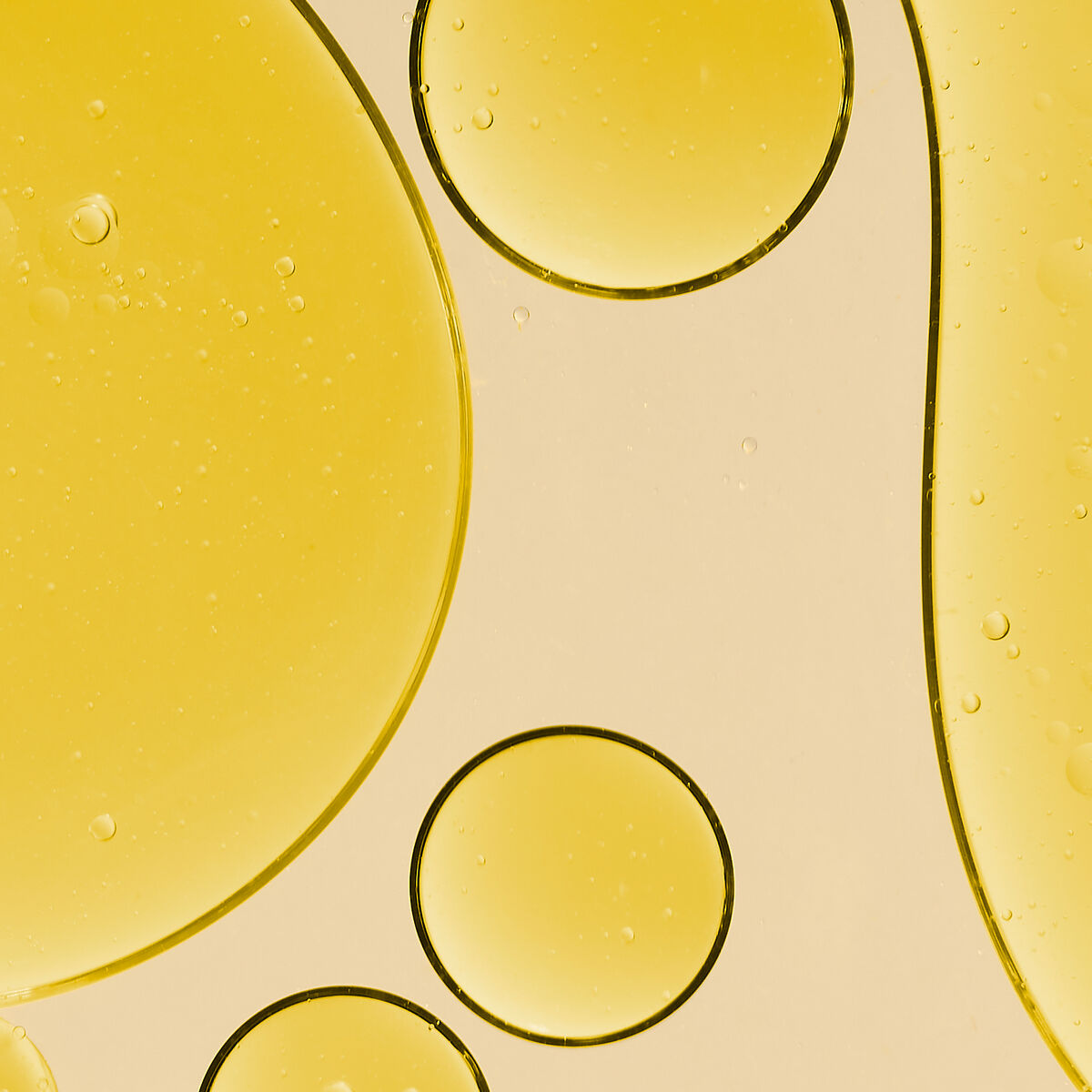 Huile de Jojoba Bio