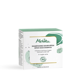 Shampoing solide detox