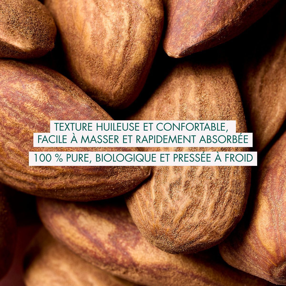 Huile d'Amande Douce Bio