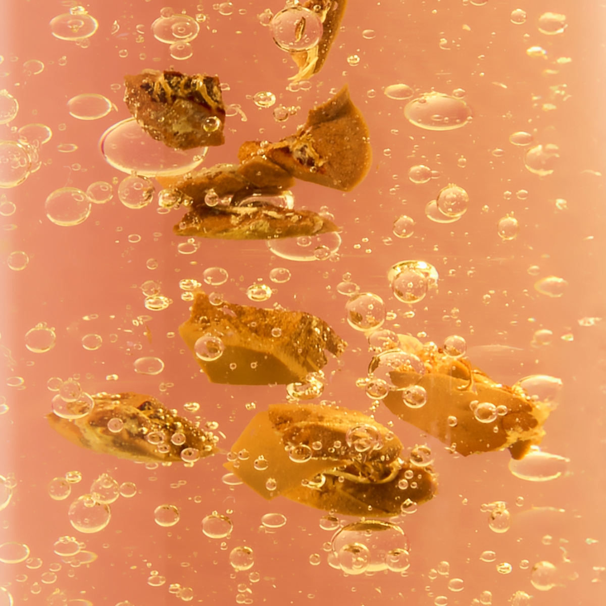 HUILE D'ARGAN FERMENTEE