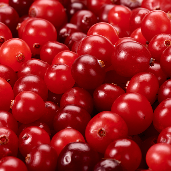 Cranberry