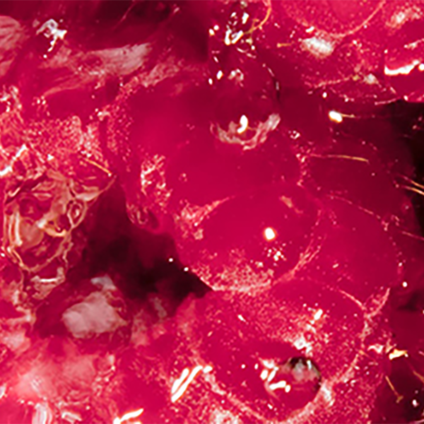 AHA de framboise ferment&eacute;e