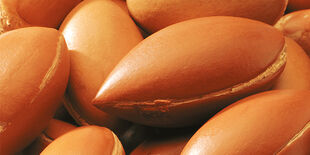 Pulpe d'argan bio, effet tenseur et raffermissant