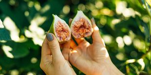 Une bonne alimentation est primordiale pour garder une peau hydratée