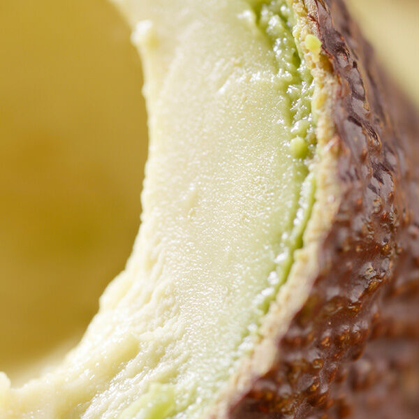 Huile d'avocat bio