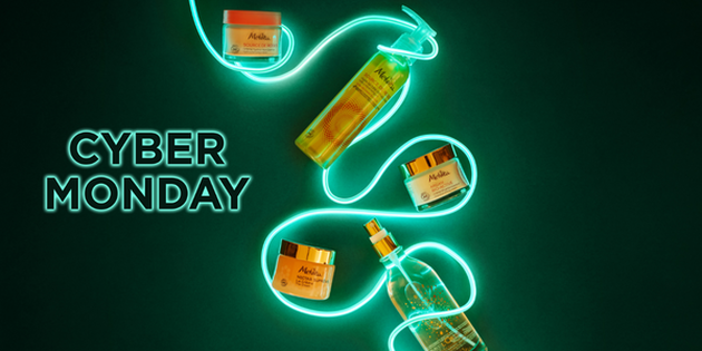 fin-cyber-monday