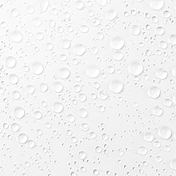 SUCRES HYDRATANTS (SACCHARIDE ISOMERATE)