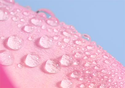 EAU FLORALE DE ROSE
