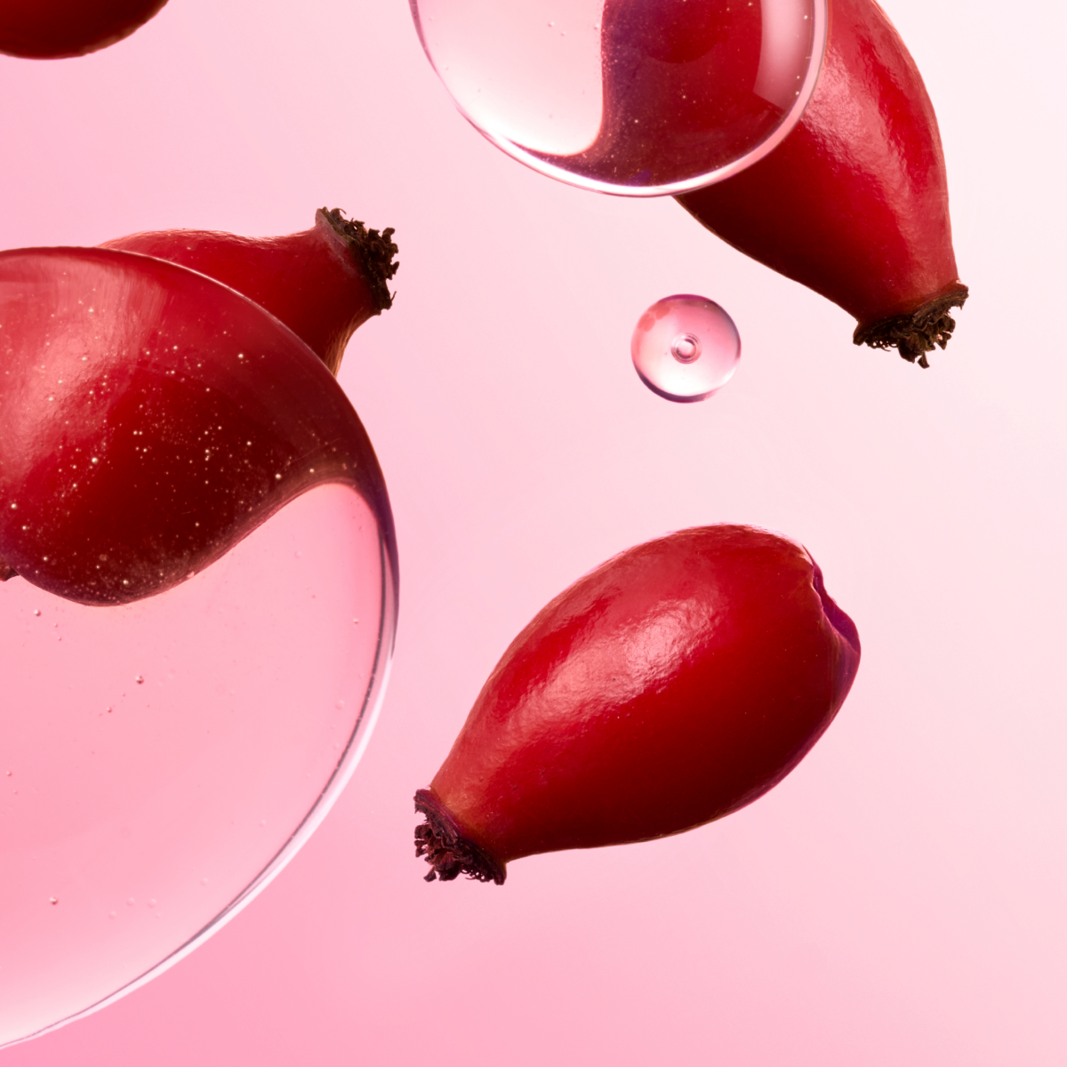 FRUIT DU ROSIER SAUVAGE