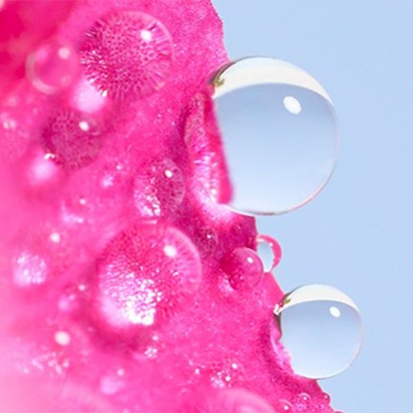 Eau florale de g&eacute;ranium