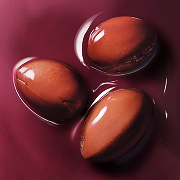 Pulpe d'argan bio