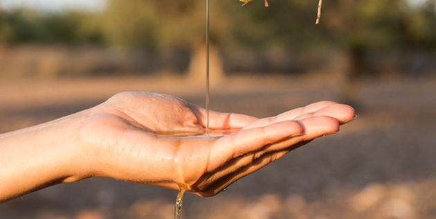Main recevant de l'huile d'argan dans le creux de la paume
