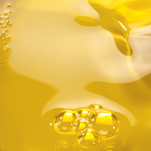 Huile d'argan bio