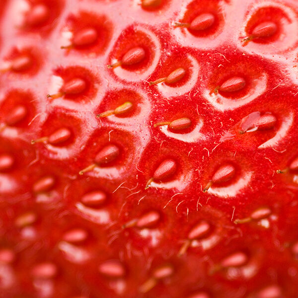 Ar&ocirc;me de fraise