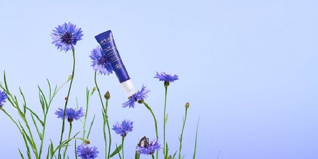 roll-on bleuet plong&eacute; au milieu de gla&ccedil;ons