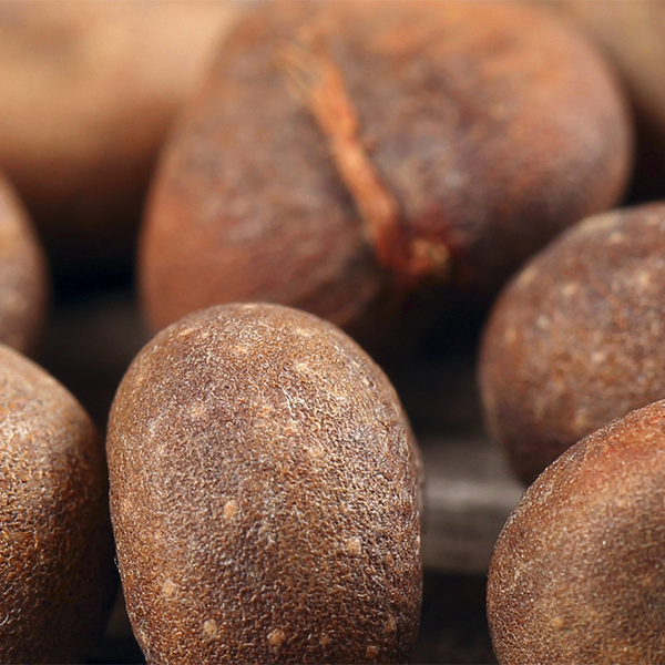 Huile de baobab bio