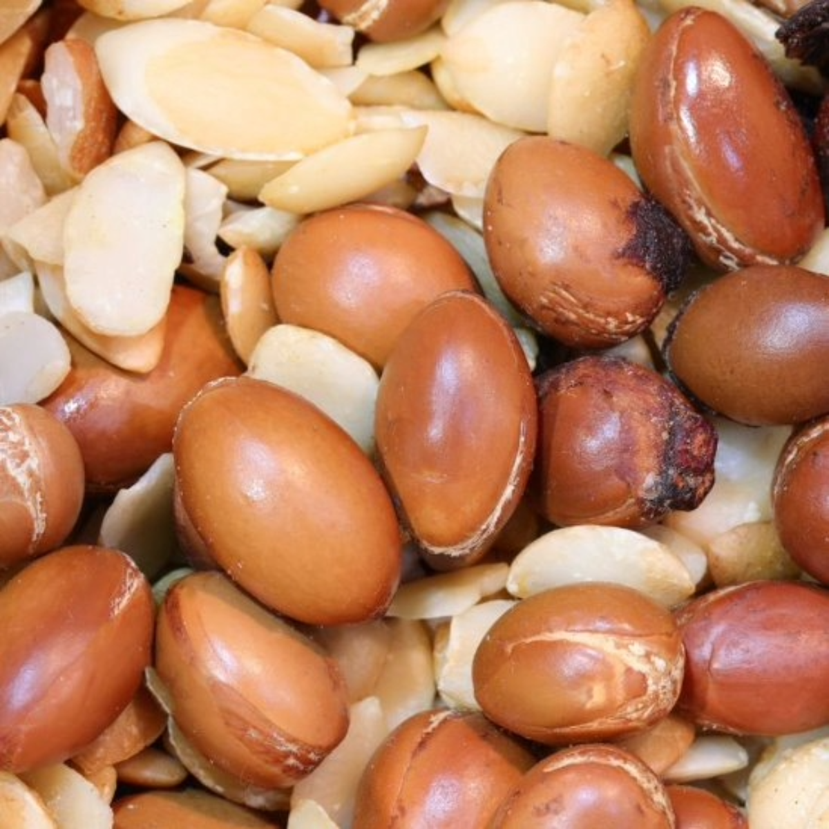 HUILE D'ARGAN