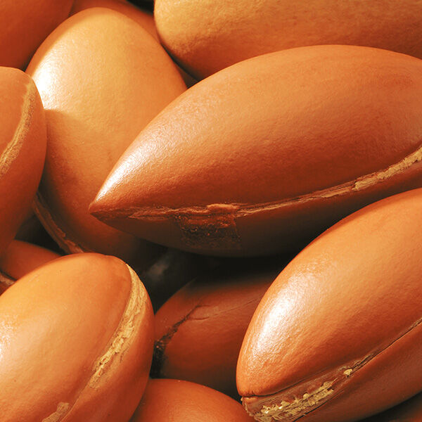 Huile d'argan bio