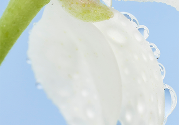 EAU FLORALE DE FLEUR D'ORANGER
