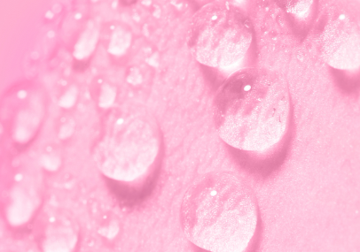 L'Eau Florale de Rose
