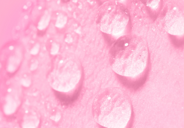 L'Eau Florale de Rose