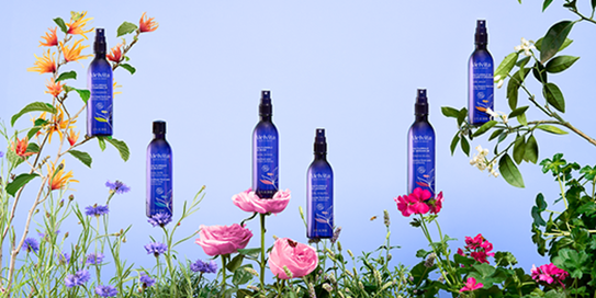 L'eau florale de lavande ou de g&eacute;ranium pour purifier et resserrer les pores de la peau