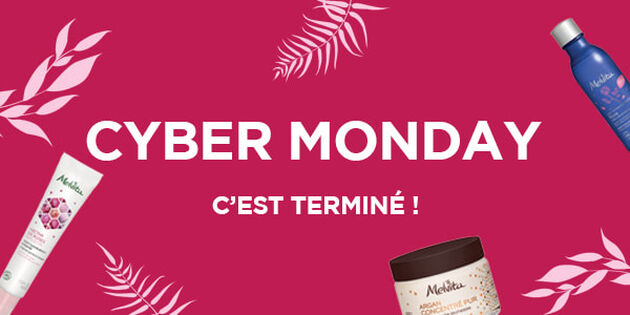 fin-cyber-monday