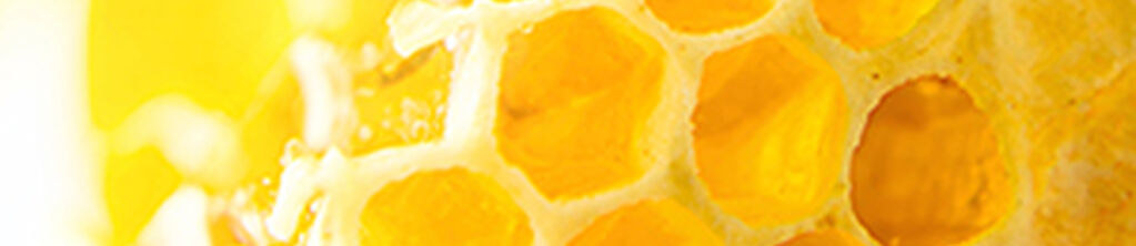 Nectar de Miels