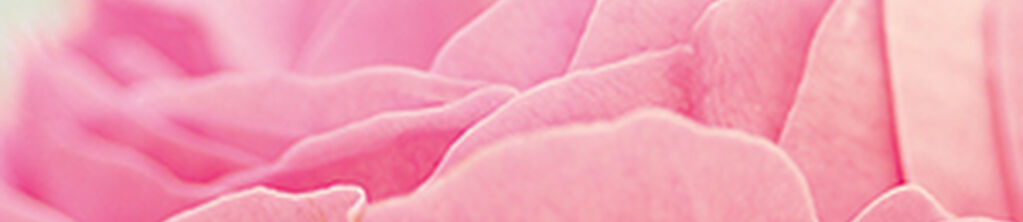 Nectar de Roses