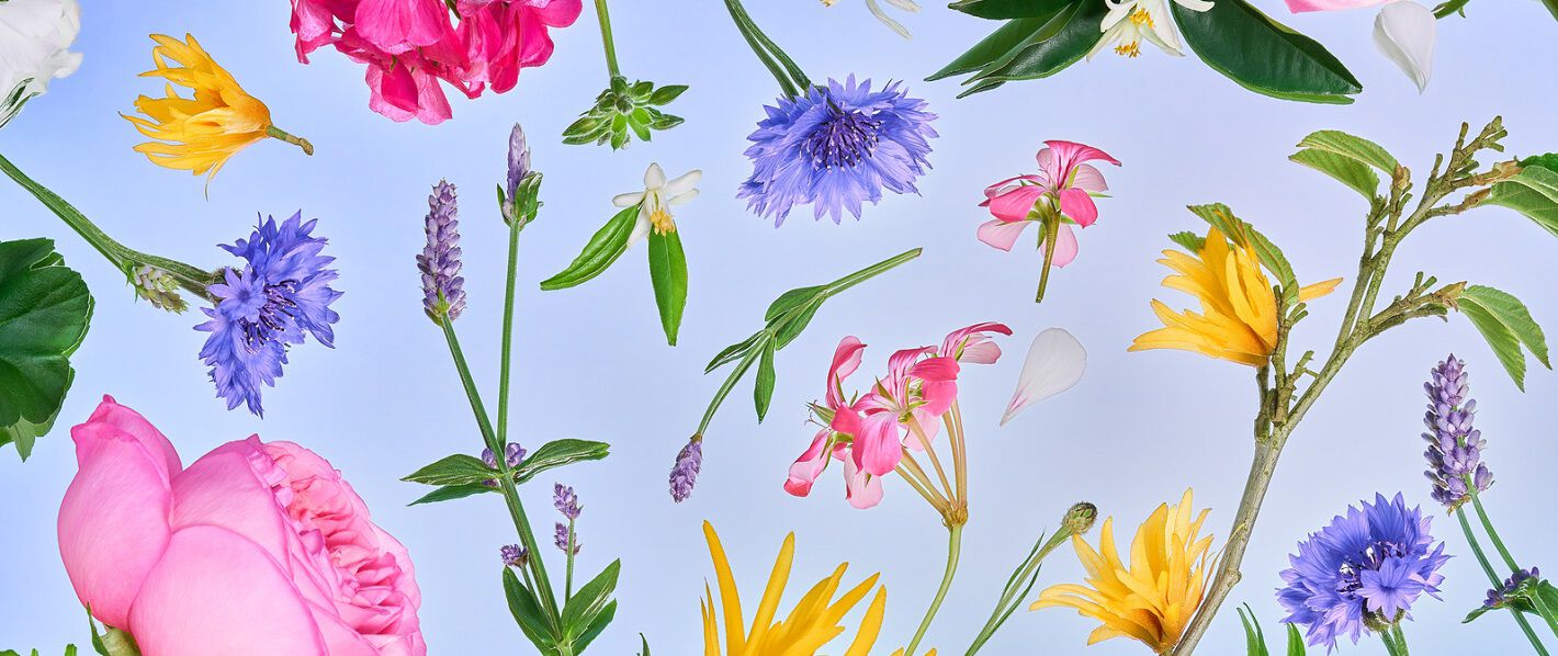 Eau florale