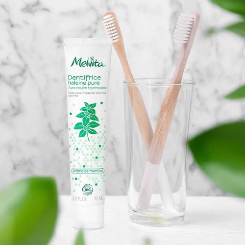 Agrandir la vue2/3 de Dentifrice haleine fraiche, , FR