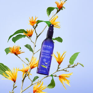 Eau Florale D'Hamam&eacute;lis Bio 200 ml, La bouteille est pos&eacute;e sur une branche avec des fleurs d'hamam&eacute;lis | Melvita