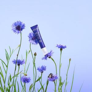 Roll-On Givré Contour Des Yeux Au Bleuet Bio 10 ml, Le produit tient en diagonal sur deux fleurs de bleuet sur un fond bleu clair | Melvita