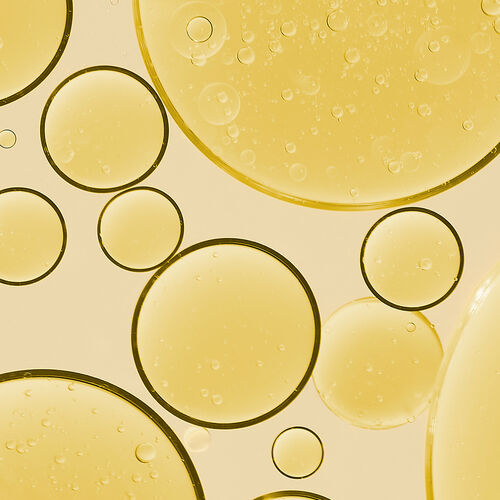 Agrandir la vue2/7 de Huile d'Argan Bio, , FR