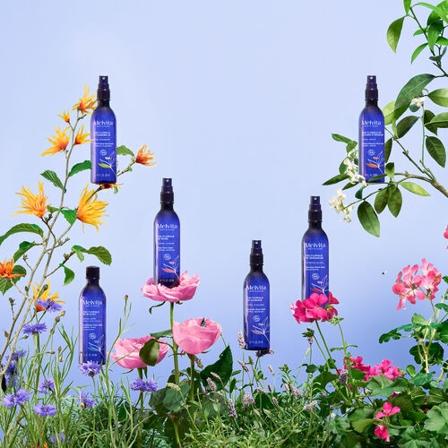 Agrandir la vue10/10 de Eau Florale De Lavande Bio, , FR