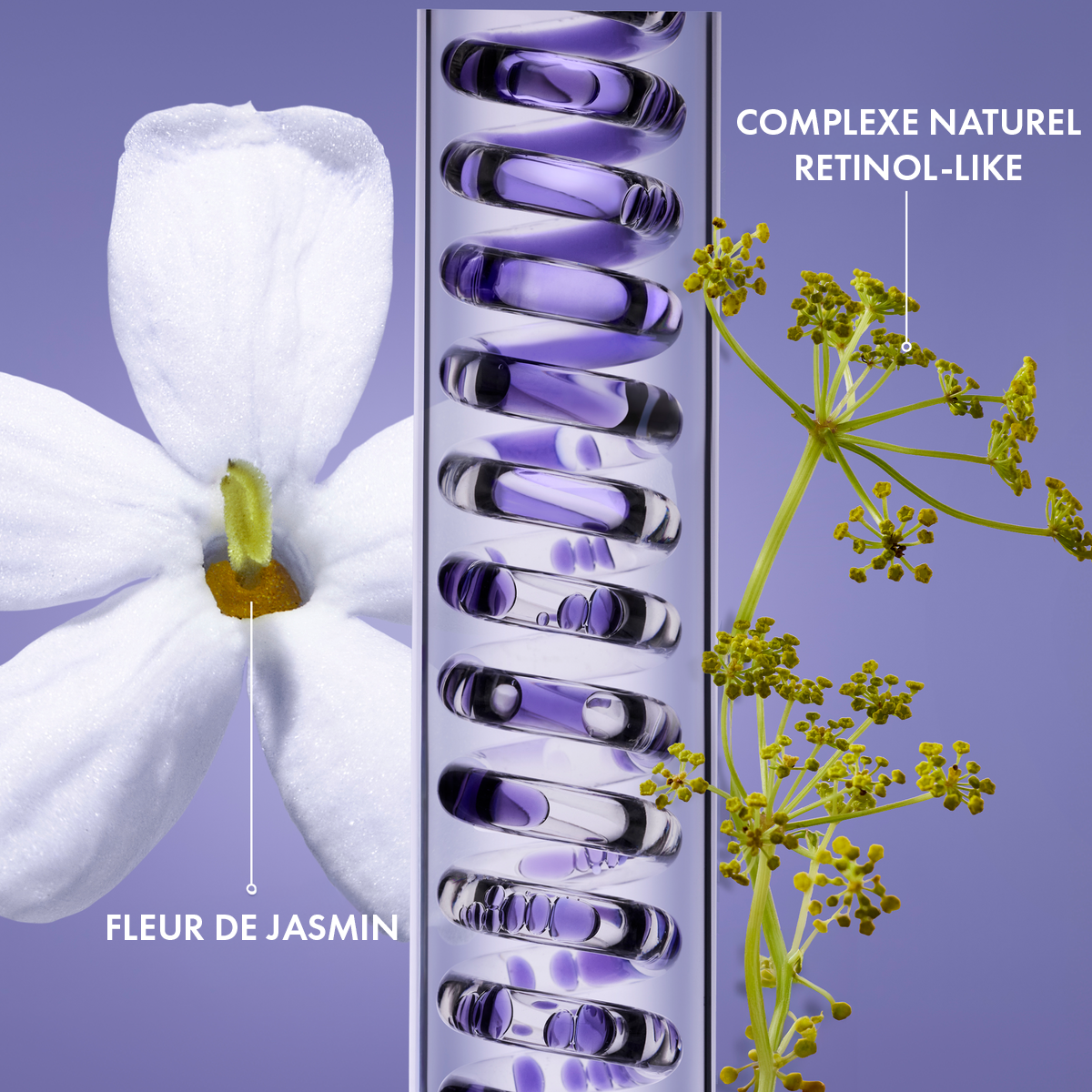 Duo Anti-&Acirc;ge global, FR (2) | Melvita